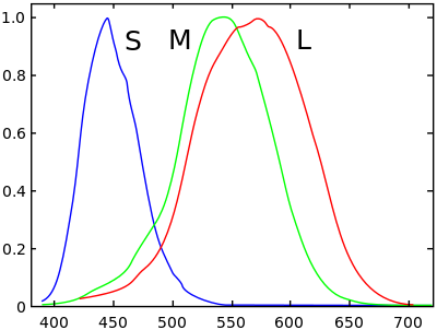 The normalized spectral sensitivity of human cone cells